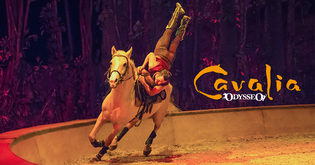 The preparation is well underway for the Nashville debut of Odysseo by Cavalia!