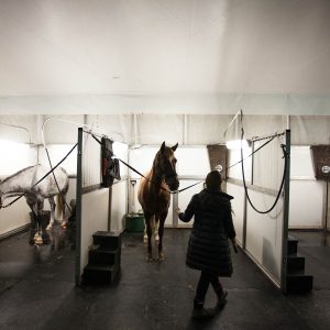 Odysseo Horse Arrival in Vancouver - Odysseo shower stalls