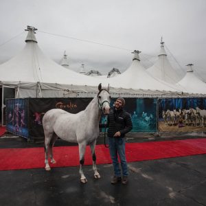Odysseo Horse Arrival in Vancouver - Pearl & Adrien