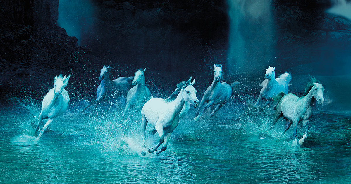 Odysseo Ventura County • Show Extended Through December 10 - Cavalia